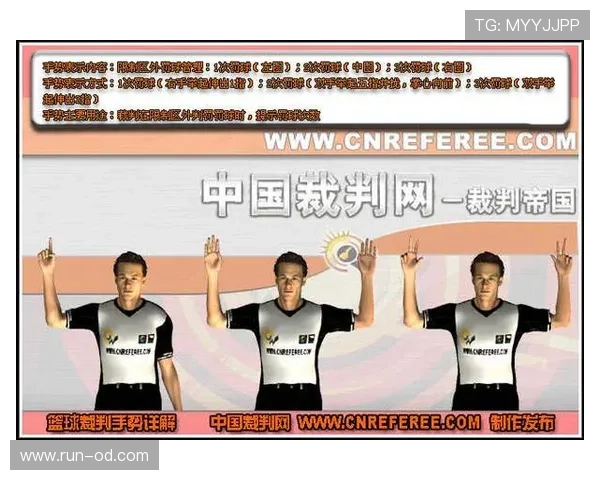 争球规则中裁判判罚依据与执行流程详解